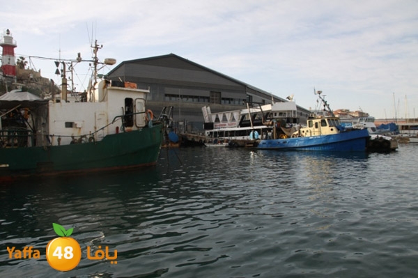 sayyadnewyaffa3 (30).JPG